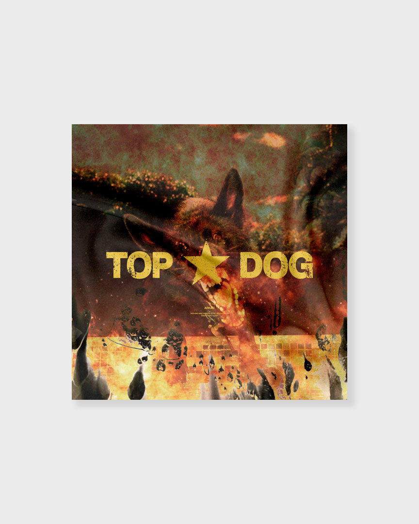 Bandana Grafica Topdog