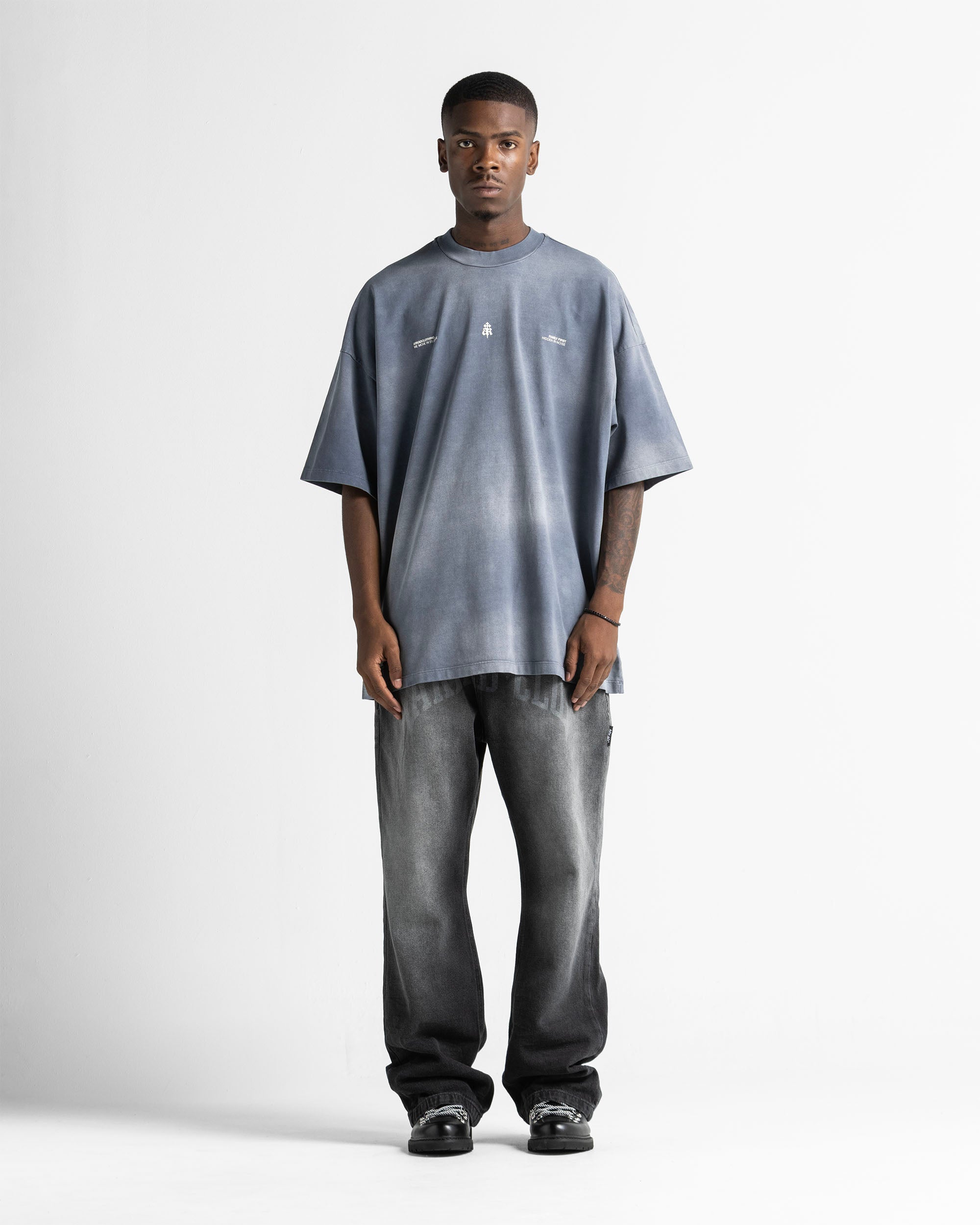 Washed Tshirt Gray Blue Print Beige