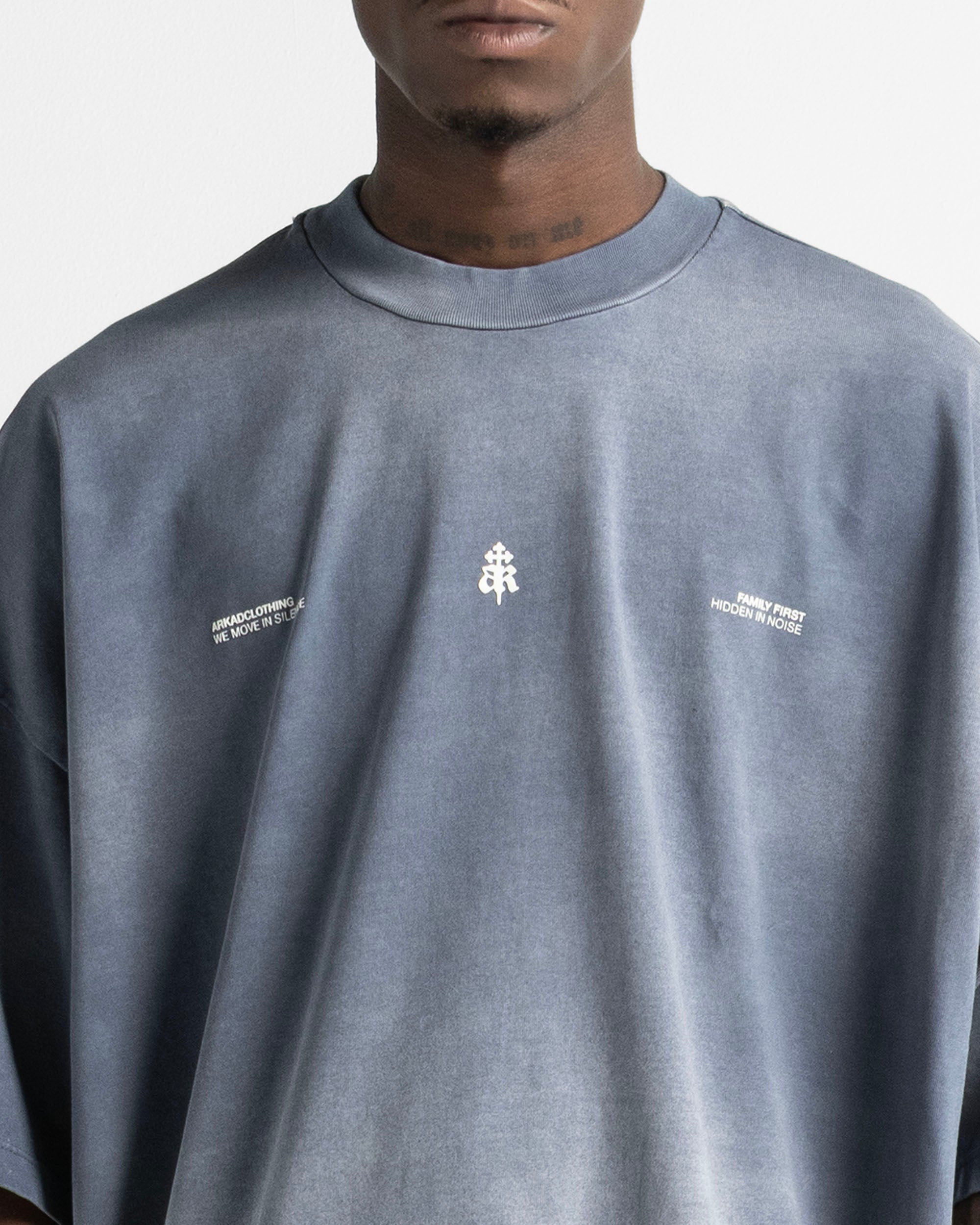 Washed Tshirt Gray Blue Print Beige