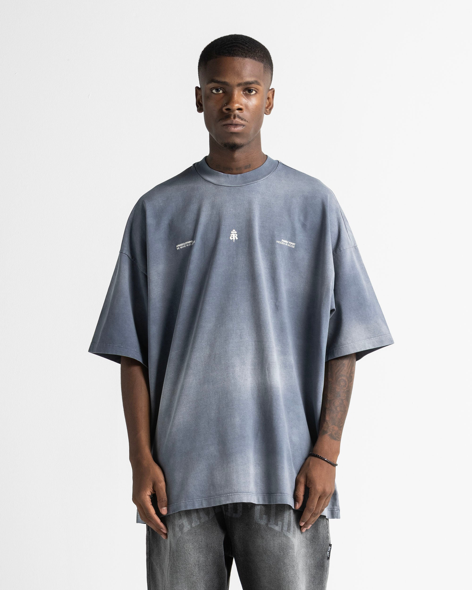 Washed Tshirt Gray Blue Print Beige